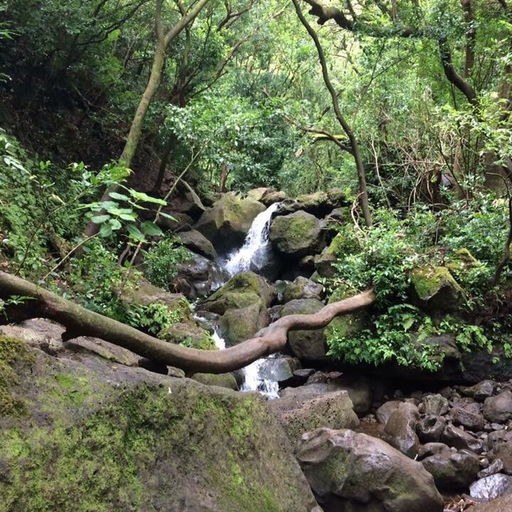 Lulumahu Falls - Hiking Near Me - Honolulu, Hawaii