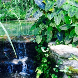 Dunaway Gardens - Enchanting falls