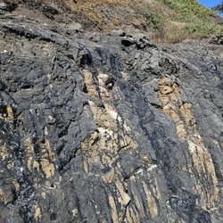 Tar Pits Beach - Tar seeps