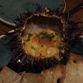 Vaca - Close up of erizo (uni) - Tapas/Small Plates Near Me - Costa Mesa, California