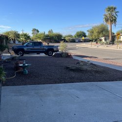Leon's Tree Service - After