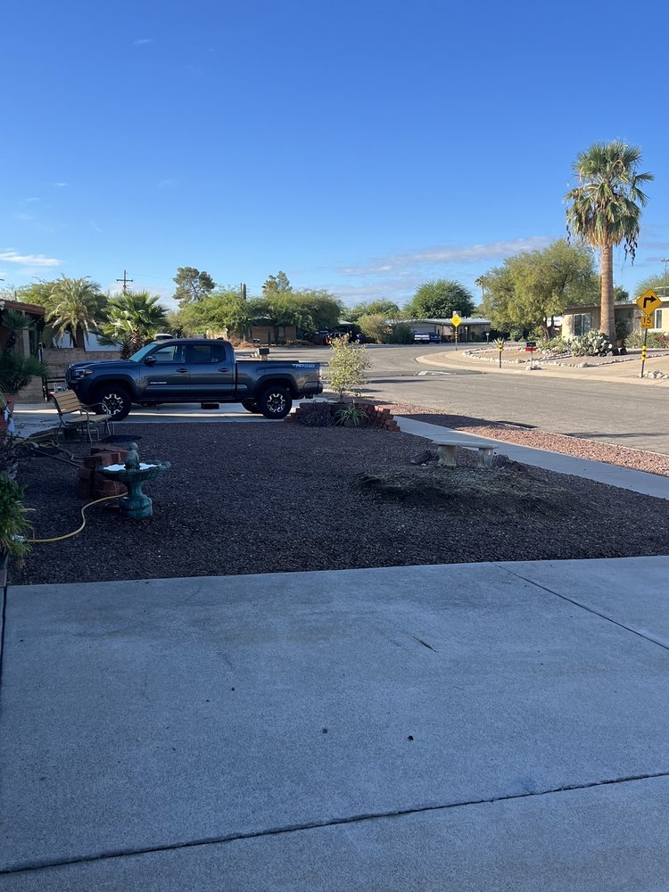 Leon's Tree Service - tree service in Tucson, AZ