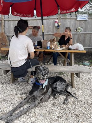 Off the Grid by null