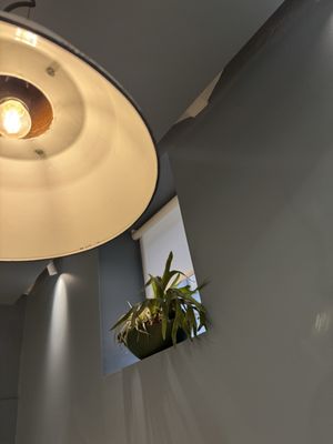 Restaurant Barra Alta Barcelona by null