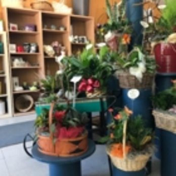 L'Aristocrate Fleuriste - Photo - Florists Near Me - Saint-Constant, Quebec