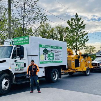 Leo's Tree Care - Tree Services Near Me