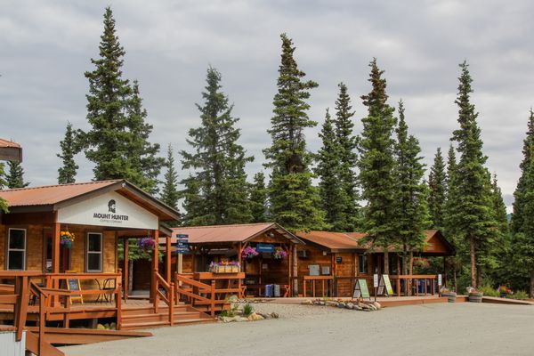 Denali Cabins - Denali National Park by null