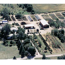 Vogel's Nursery