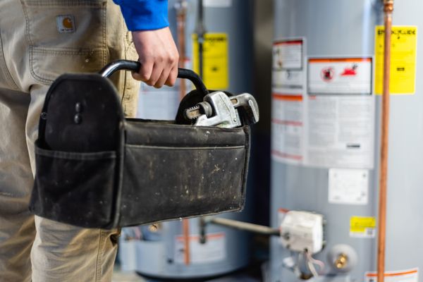 Albert Panetta Jr Plumbing and Drain Cleaning Logo