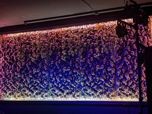 Black Magic Social Club by null