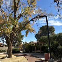 beautiful walking trail