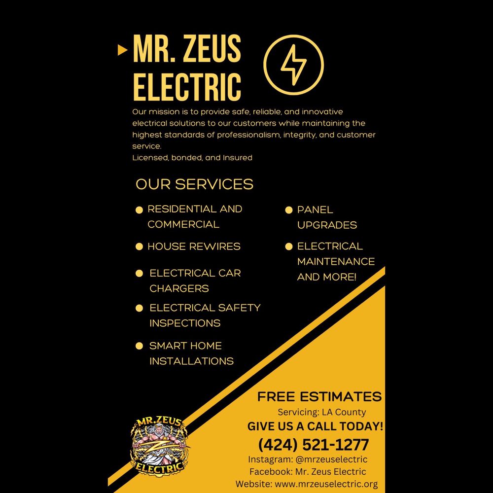 Slide of Mr Zeus Electric