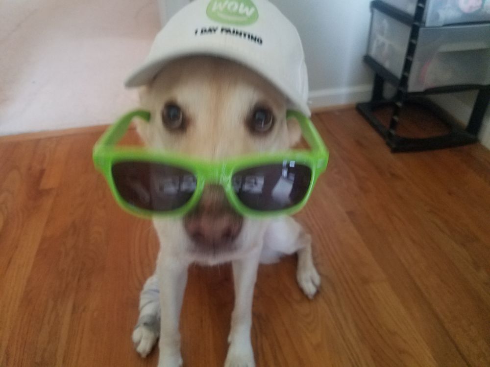Paula's Pawsome Pets - pet boarding facility in Bahama, NC