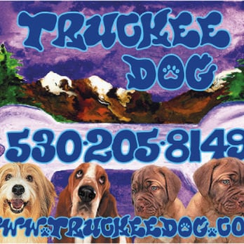 Truckee Dog - Dog Walkers Near Me Truckee Dog - Dog Walkers Near Me