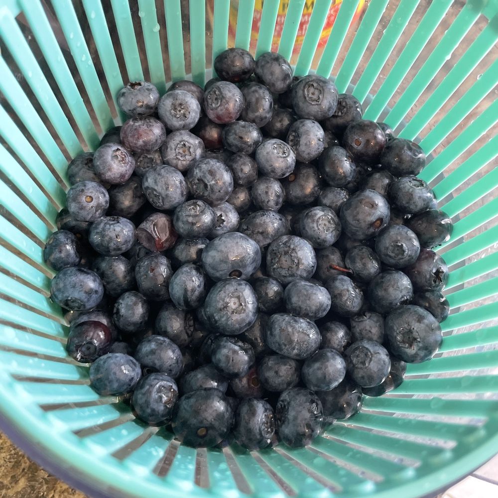 JOSEPH’S NO FRILLS Updated September 2024 4473 Kingston Road