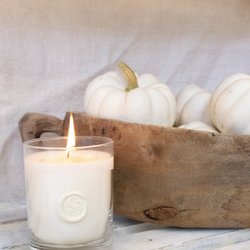 Painted Swan - Painte Swan's signature candle is a beloved cozy scent. Available online and at our shop.