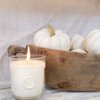 Painted Swan gift card