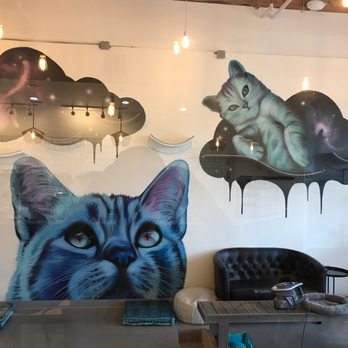 Cat & Craft - Coffee & Tea Near Me - Vista, California Cat & Craft - Coffee & Tea Near Me - Vista, California