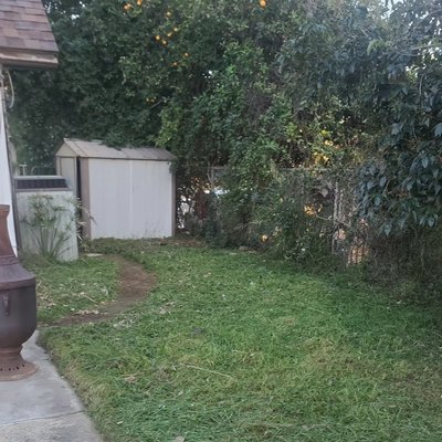 Landscape maintenance - Here for all your landscape maintenance needs. Contact me today