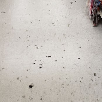 Dollar Tree - Looks as if someone rubbed their rectal-hole all over the store - Discount Store Near Me - Oceanside, California