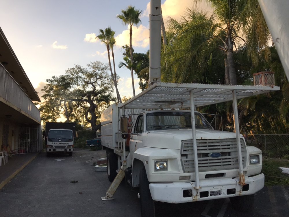 D&D Tree Service - tree service in Hialeah, FL