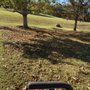 Photo of Willis Lawn Care