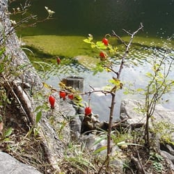 Taubensee