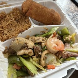 Tangs Chinese Cuisine - Portion taken, there is a good sized portion of food!
