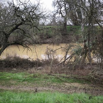 Putah Creek Riparian Reserve - Hiking Near Me - Davis, California Putah Creek Riparian Reserve - Hiking Near Me - Davis, California