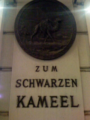 Zum Schwarzen Kameel by null