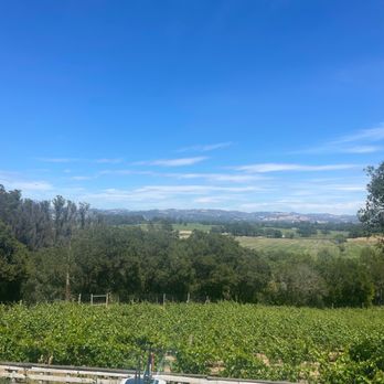 Woodenhead Wines - 99 points - Wineries Near Me - Santa Rosa, California