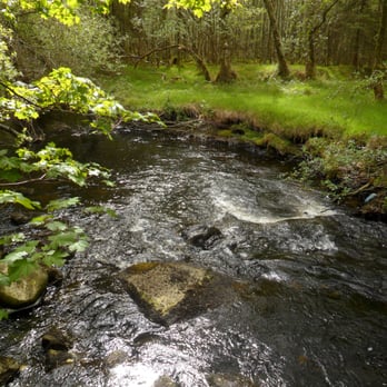 Glendalough - Local Flavor Near Me - Bray, WW Glendalough - Local Flavor Near Me - Bray, WW