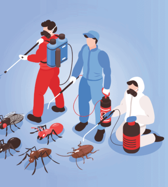 PEST MARSHALS Updated June 2024 11 Photos 3175 Cowden Ave