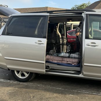 MexiVet Express - Kingsley in the van and ready to go to Mexico! - Veterinarians Near Me MexiVet Express - Kingsley in the van and ready to go to Mexico! - Veterinarians Near Me
