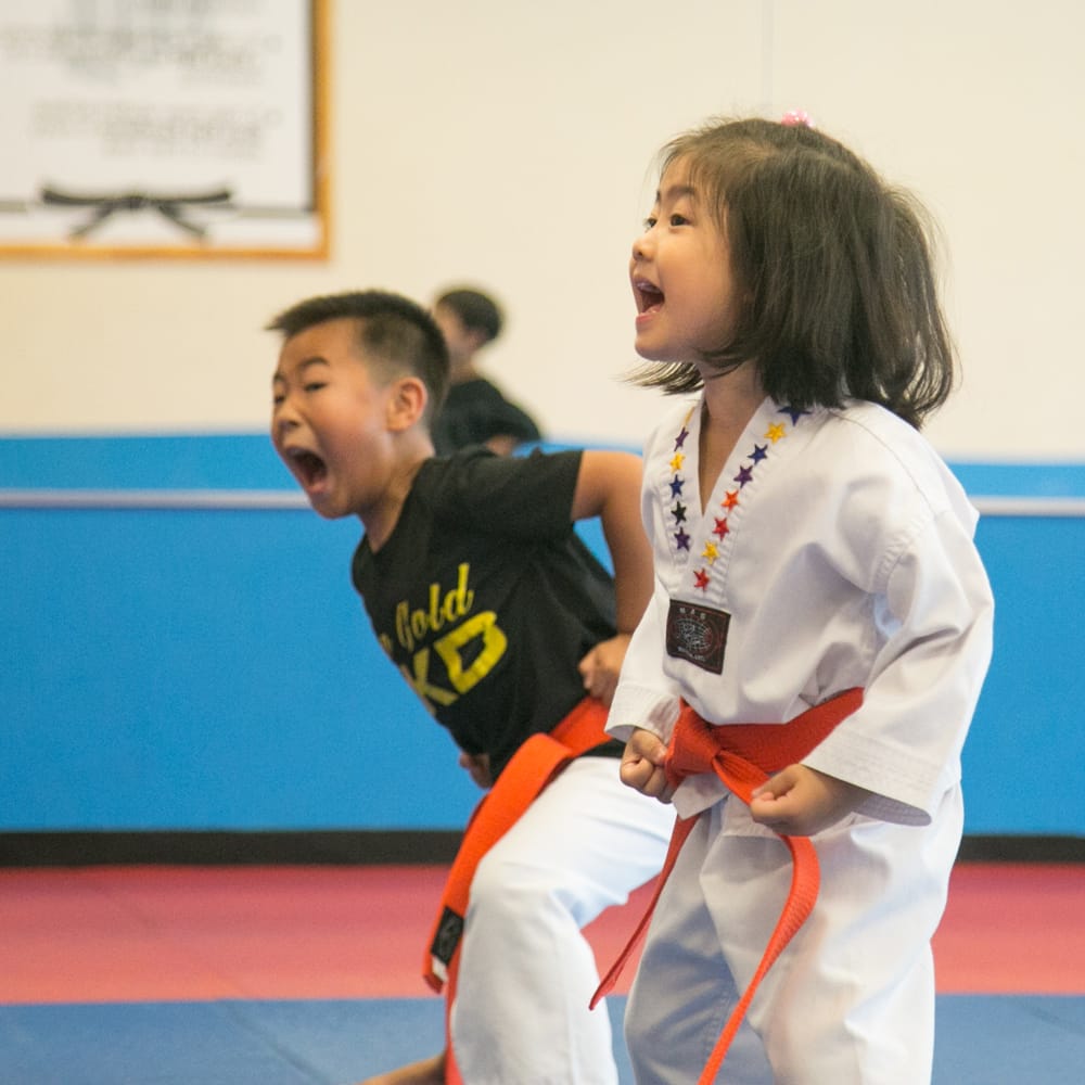 Two Gold Taekwondo Logo