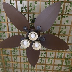 Absolute Aesthetic - Doesn't look like much, but when she put on the small lights intertwined above, it helped create maximum tranquility !