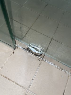 Hotel Challis Potts Point by null