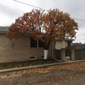 Brown Tree Service - Tree Services Near Me Brown Tree Service - Tree Services Near Me