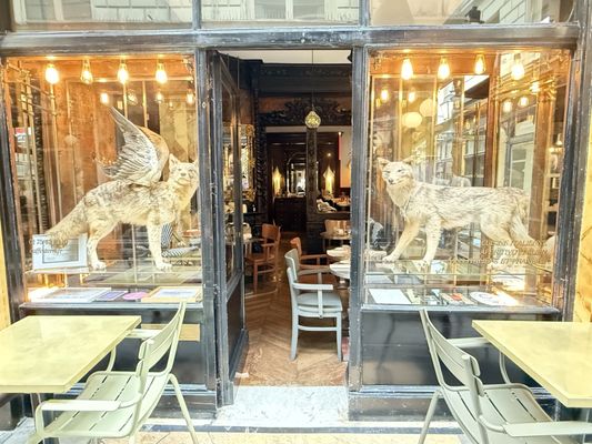 Passage des Panoramas by null