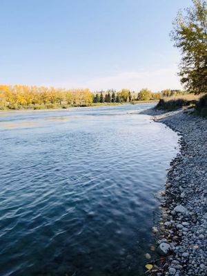 Inglewood Bird Sanctuary by null