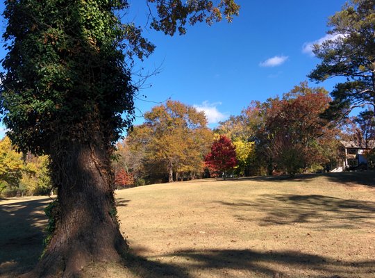 Candler Park Golf Course by null