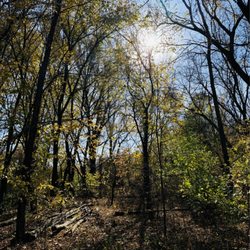 Crow-Hassan Park Reserve