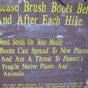 Kuliouou Ridge Trail - very easy to do, just follow the directions - Hiking Near Me - Honolulu, Hawaii Kuliouou Ridge Trail - very easy to do, just follow the directions - Hiking Near Me - Honolulu, Hawaii