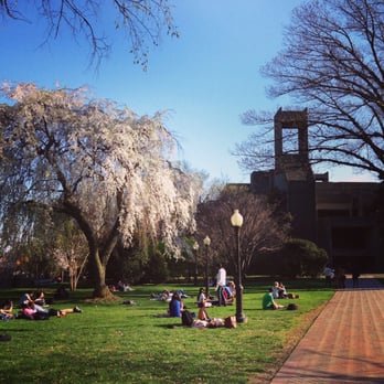 Georgetown University Library - Spring time at Lauinger. April 12, 2015. - Libraries Near Me - Washington, DC, District of Columbia Georgetown University Library - Spring time at Lauinger. April 12, 2015. - Libraries Near Me - Washington, DC, District of Columbia