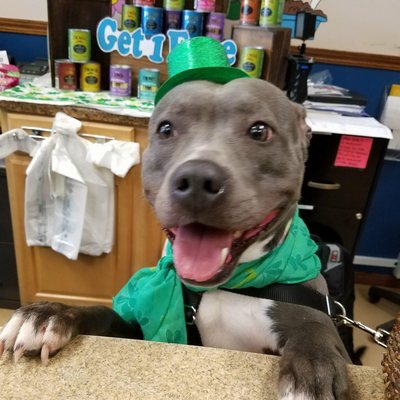 Tucker's Doggie Delights