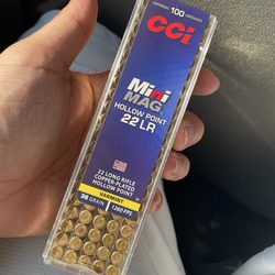 Academy Sports + Outdoors - 22LR