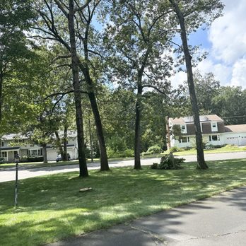 All American Tree Care - Tree Services Near Me - Coventry, Connecticut