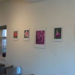 Birds And Beans Cafe - More art