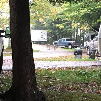 Canaan Valley Resort State Park - Good space between campsites. - Ski Resorts Near Me - Davis, West Virginia
