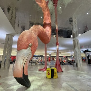 TAMPA INTERNATIONAL AIRPORT - Updated August 2024 - 2803 Photos & 2107